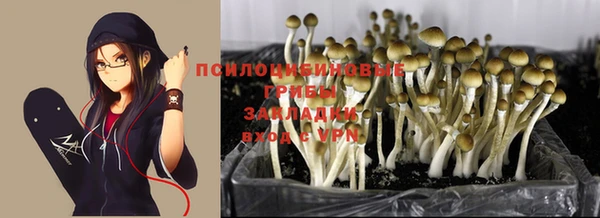 спайс Ельня
