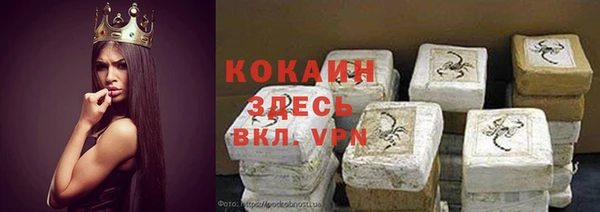 спайс Ельня