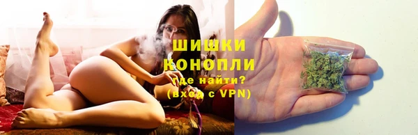 спайс Ельня