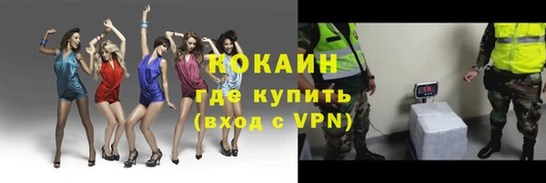 дмт Елизово