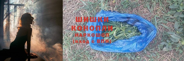 дмт Елизово