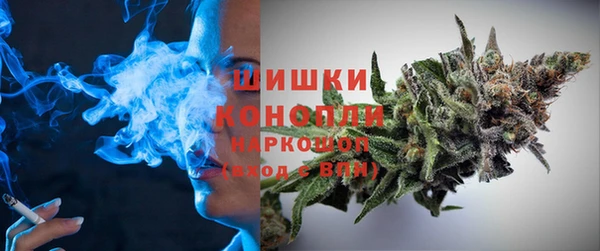 спайс Ельня